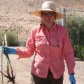 Person in wide-brimmed hat, pink shirt, and blue gloves holding a plant in a dry, rocky landscape.