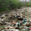 An area littered with various types of garbage, including plastic bags, bottles, metal scraps, and an old tire, with bushes in the background.