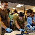 People in a laboratory conducting experiments with glass beakers and flasks.