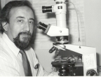 Professor using microscope