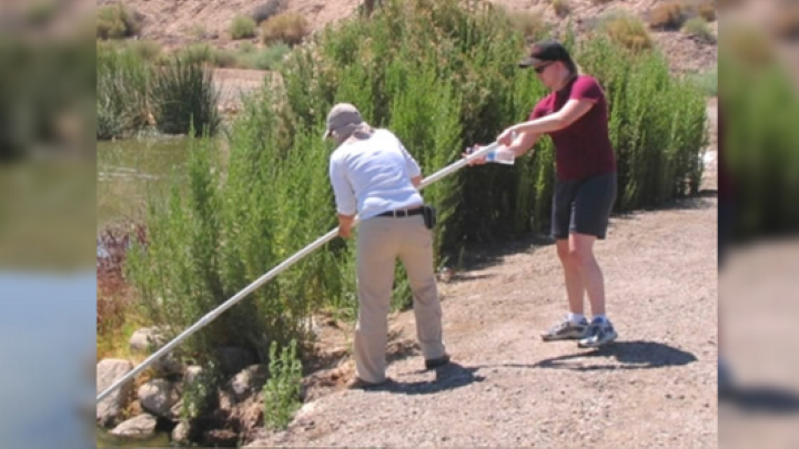 Two men cleaning trash from river