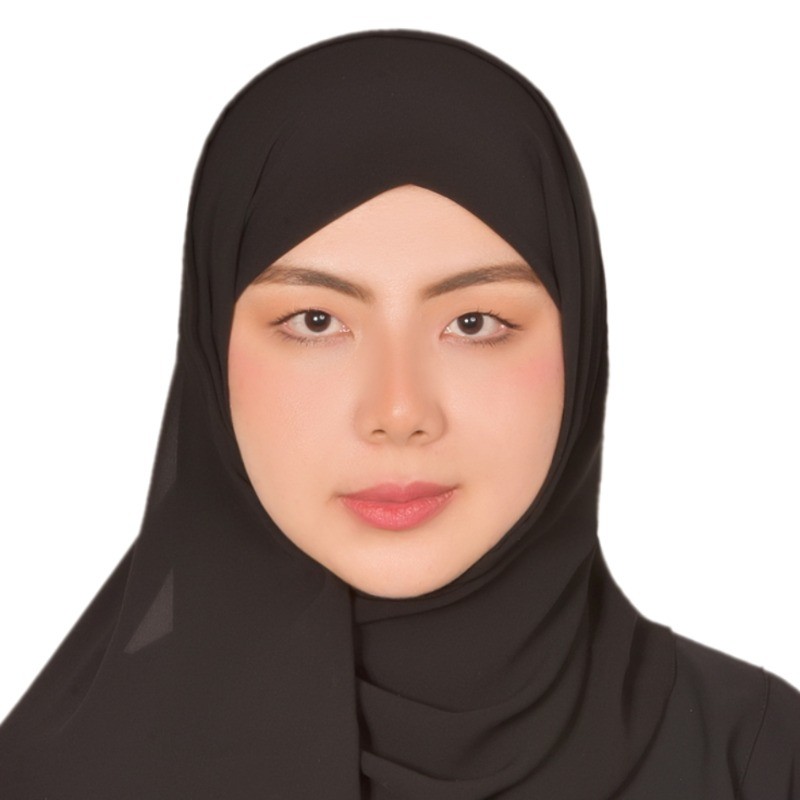 Alla Mansour Mohamed